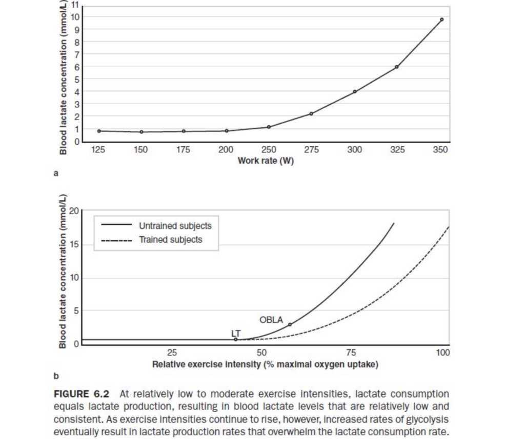 Blood lactate graph